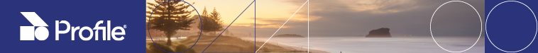Architectural Profiles Small Top Banner