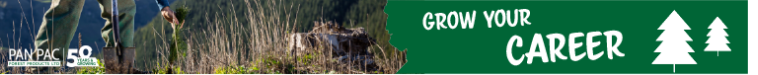 Pan Pac Forest Products Ltd Small Top Banner