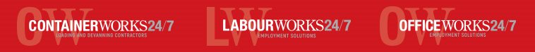 Labour Works NZ Small Top Banner