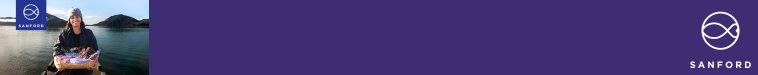 Jobs Listing Branding