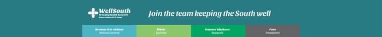 WellSouth Small Banner