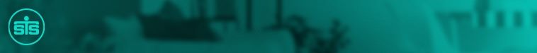 STS Group Small Top Banner