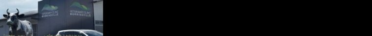 Jobs Listing Branding