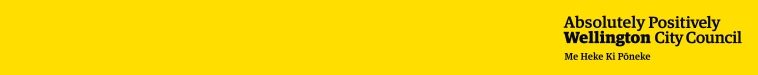 Wellington City Council Small Banner