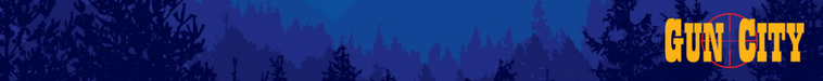 Gun City Small Top Banner