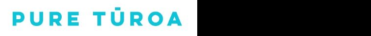 Pure Turoa Small Top Banner