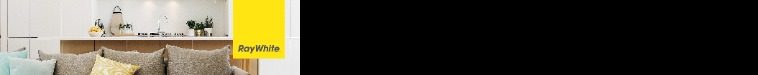 Ray White Small Top Banner