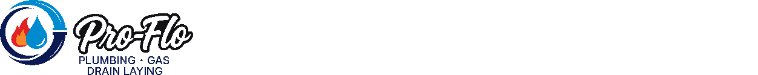 Pro Flo Plumbing Small Top Banner