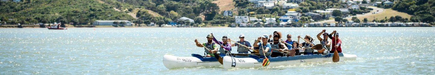 PCC Full screen Banner