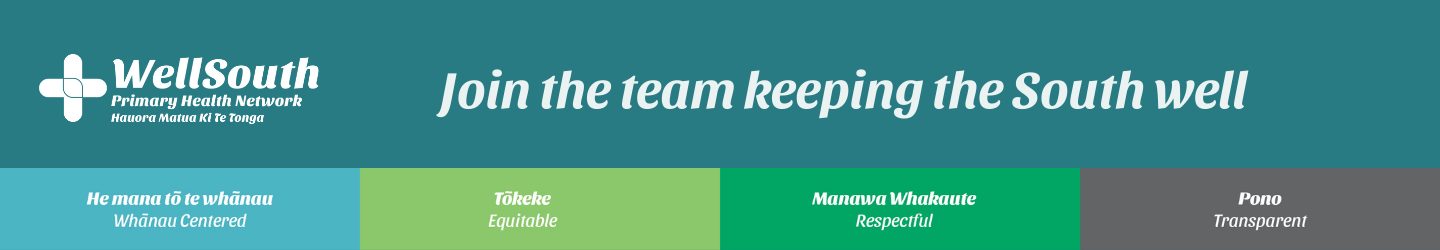 WellSouth Full screen Banner