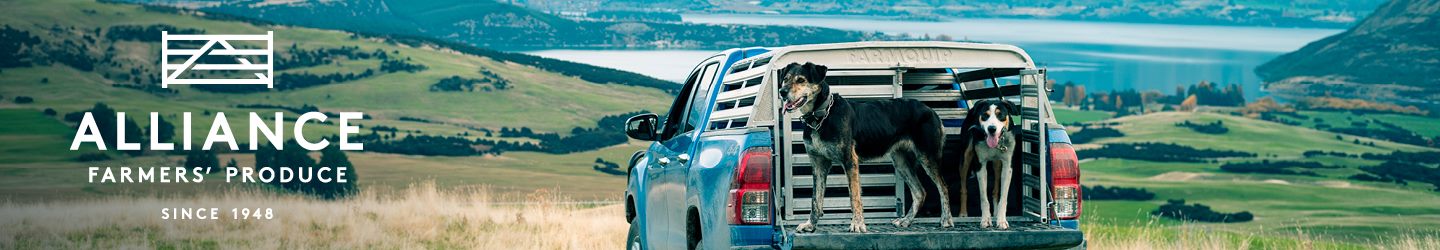 Alliance Group Full screen Banner