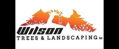 Wilson Trees & Landscaping