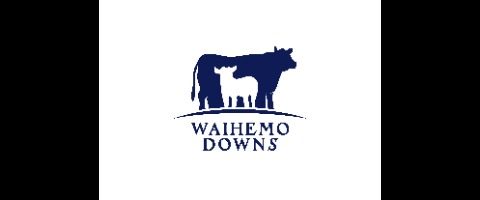 Waihemo Downs Ltd