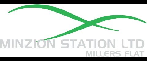 Minzion Station