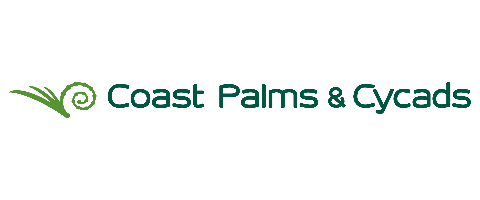Coast Palms and Cycads