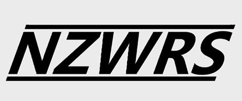 NZ Welder Repair Services
