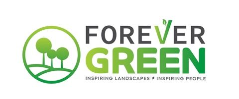 Forever Green