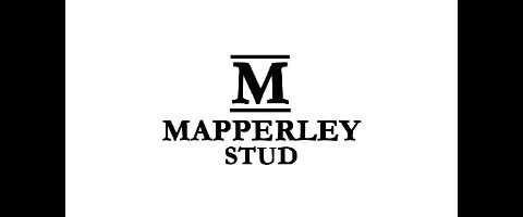 Mapperley Stud
