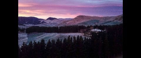 Alpine Hunting New Zealand