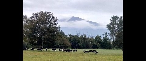Stack Farming Ltd