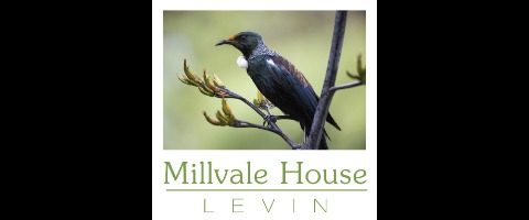 Millvale House Levin