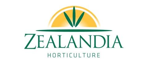 Lead Hand - Plant Nursery