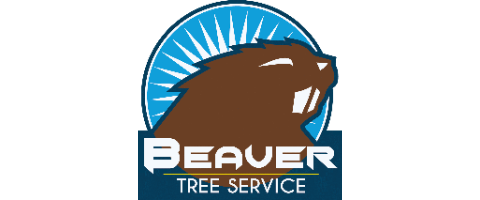 Beaver Tree Service
