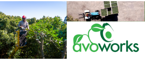 Darling Horticultural Services