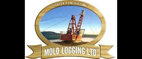 Mold Logging Ltd
