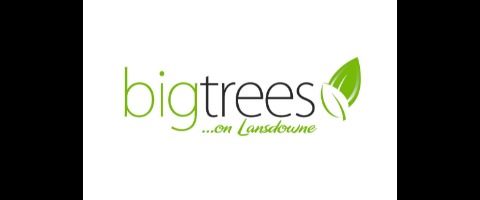 Big Trees on Lansdowne