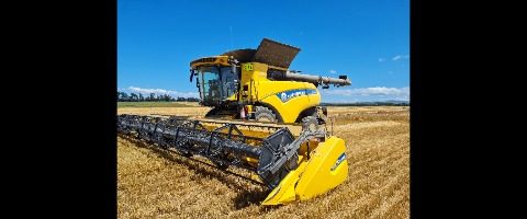 Dillon Grain ltd