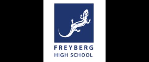 Freyberg High School