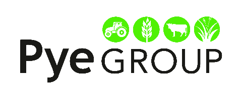 Pye Group Ltd