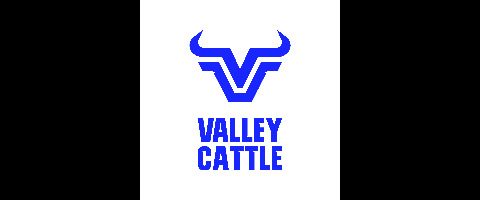 Valley Cattle Co Limited