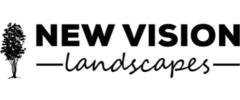 New Vision Landscapes