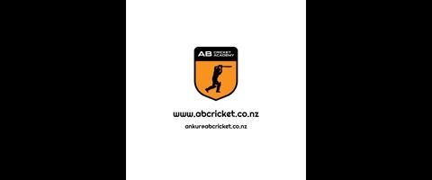 AB Cricket Academy
