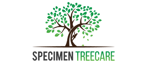 Specimen Treecare Ltd