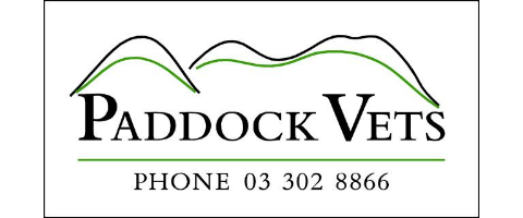 Paddock Vets
