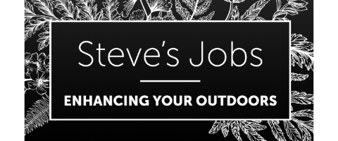 Steve's Jobs