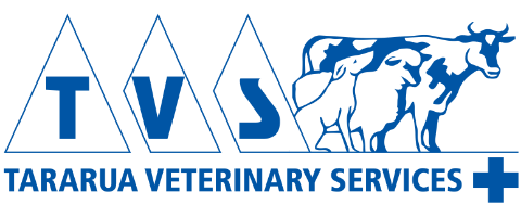 Clinic Manager