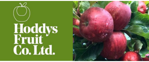 Hoddys Fruit Co Ltd
