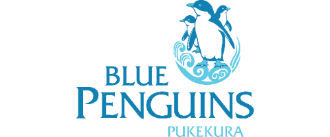 Blue Penguins Pukekura