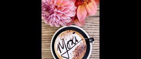 Moxi Cafe