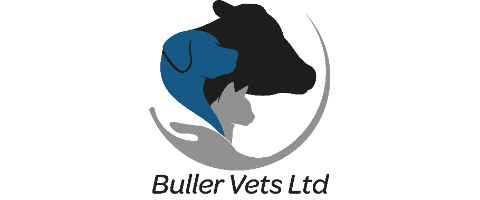 Buller Vets Ltd