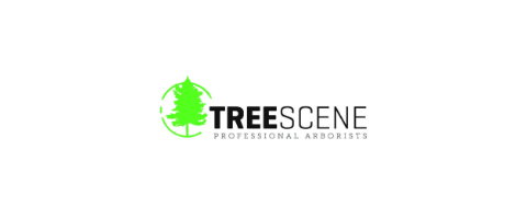 Tree Scene Tauranga