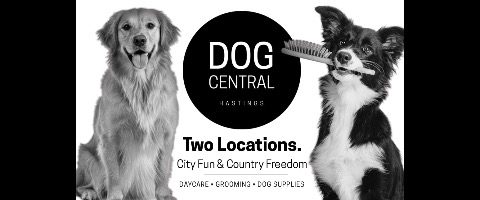 Dog Central