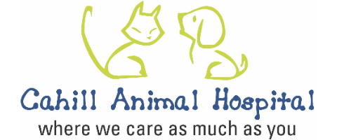 Cahill Animal Hospital 2004 Limited