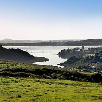 Barfoot & Thompson Meadowlands Meadowlands Branch