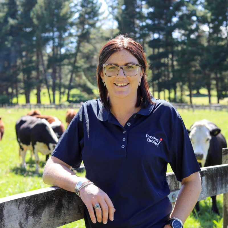 Mel Clay Real Estate Agent Trade Me Property