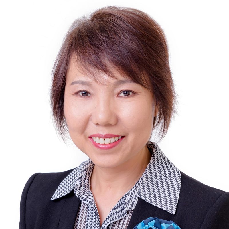 Hongyan Lu